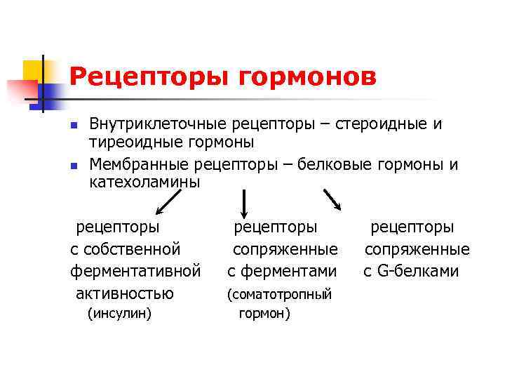 Рецепторы гормонов n n Внутриклеточные рецепторы – стероидные и тиреоидные гормоны Мембранные рецепторы –