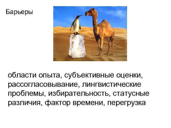 Барьеры области опыта, субъективные оценки, рассогласовывание, лингвистические проблемы, избирательность, статусные различия, фактор времени, перегрузка