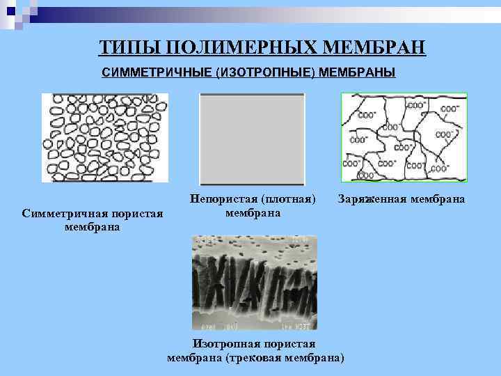 ТИПЫ ПОЛИМЕРНЫХ МЕМБРАН СИММЕТРИЧНЫЕ (ИЗОТРОПНЫЕ) МЕМБРАНЫ Симметричная пористая мембрана Непористая (плотная) мембрана Заряженная мембрана