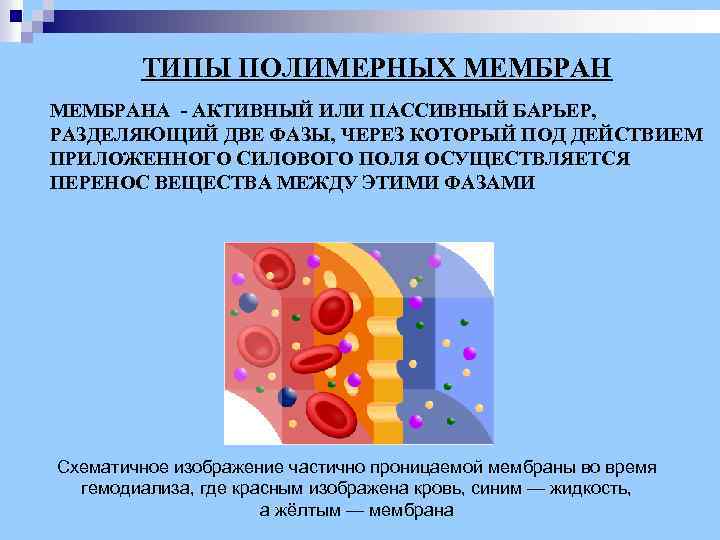 ТИПЫ ПОЛИМЕРНЫХ МЕМБРАНА - АКТИВНЫЙ ИЛИ ПАССИВНЫЙ БАРЬЕР, РАЗДЕЛЯЮЩИЙ ДВЕ ФАЗЫ, ЧЕРЕЗ КОТОРЫЙ ПОД