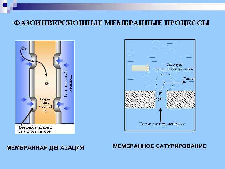Растворенный кислород ФАЗОИНВЕРСИОННЫЕ МЕМБРАННЫЕ ПРОЦЕССЫ Вакуум и/или инертный газ Поверхность раздела газ-жидкость в поре