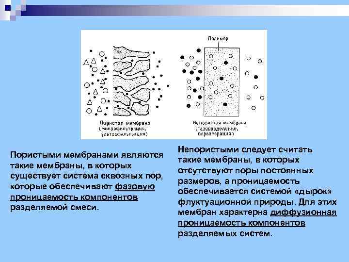 Пористыми мембранами являются такие мембраны, в которых существует система сквозных пор, которые обеспечивают фазовую