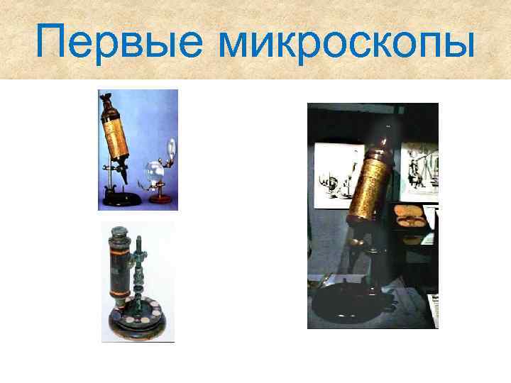 Первые микроскопы 