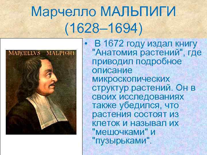 Марчелло МАЛЬПИГИ (1628– 1694) • В 1672 году издал книгу 