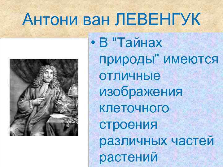 Антони ван ЛЕВЕНГУК • В 