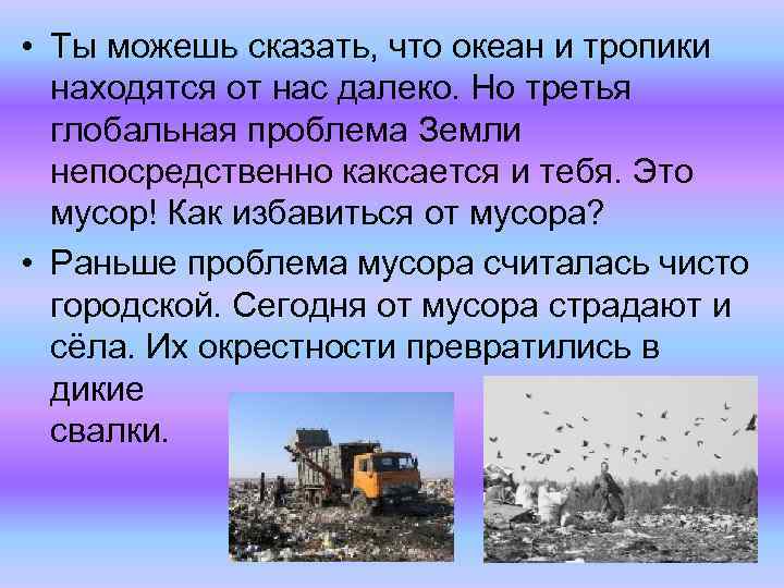  • Ты можешь сказать, что океан и тропики находятся от нас далеко. Но