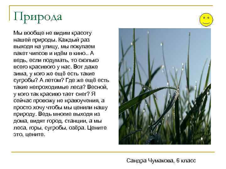 Природа Мы вообще не видим красоту нашей природы. Каждый раз выходя на улицу, мы