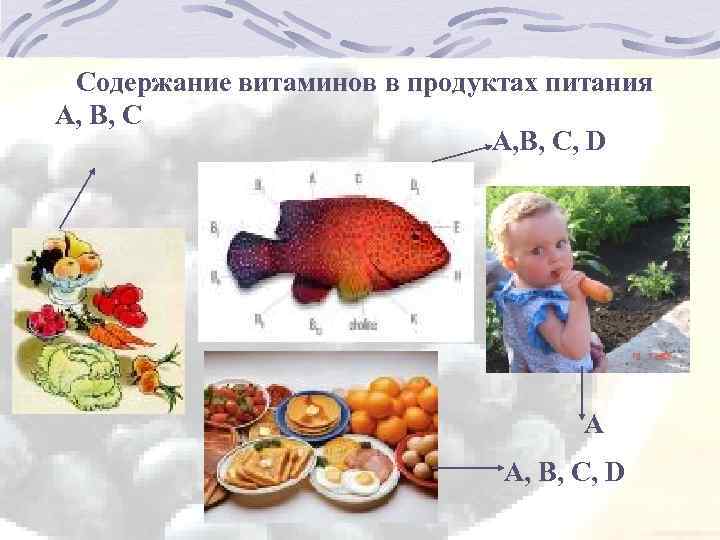Содержание витаминов в продуктах питания А, В, С, D А А, В, С, D