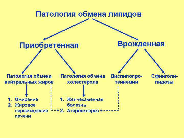 Какие функции выполняют липиды. Классификация липидов схема. Классификация липидов в организме человека. Патология обмена липидов. Пути использования липидов в организме.