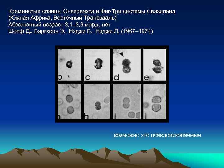 Кремнистые сланцы Онвервахта и Фиг-Три системы Свазиленд (Южная Африка, Восточный Трансвааль) Абсолютный возраст 3,