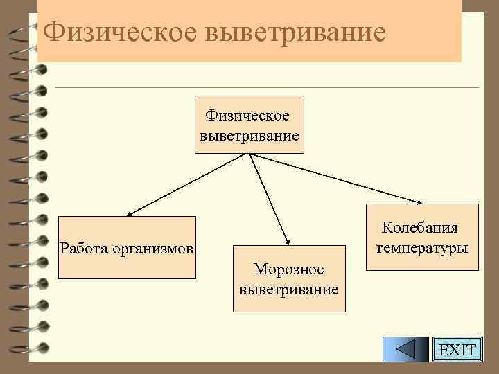 Физическое выветривание Колебания температуры Работа организмов Морозное выветривание EXIT 