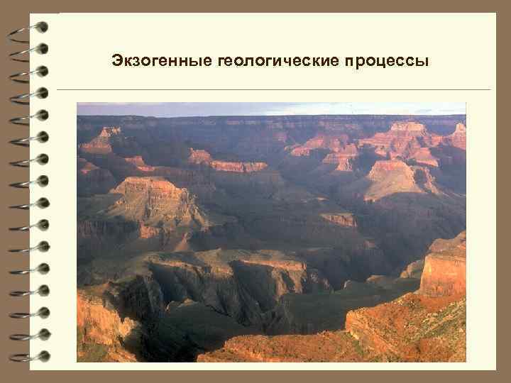 Экзогенные геологические процессы 