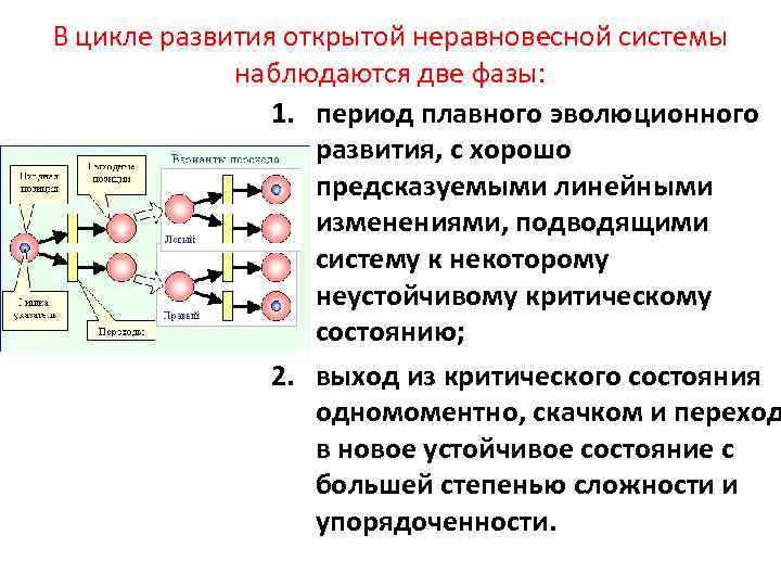 В цикле развития открытой неравновесной системы наблюдаются две фазы: 1. период плавного эволюционного развития,