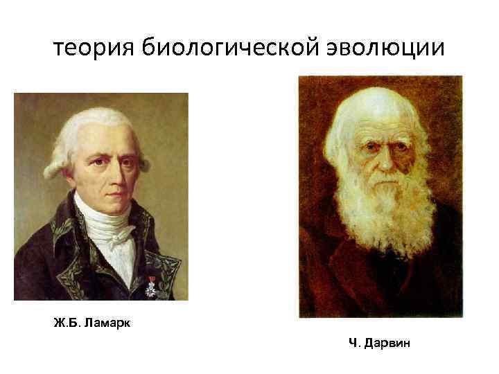 теория биологической эволюции Ж. Б. Ламарк Ч. Дарвин 