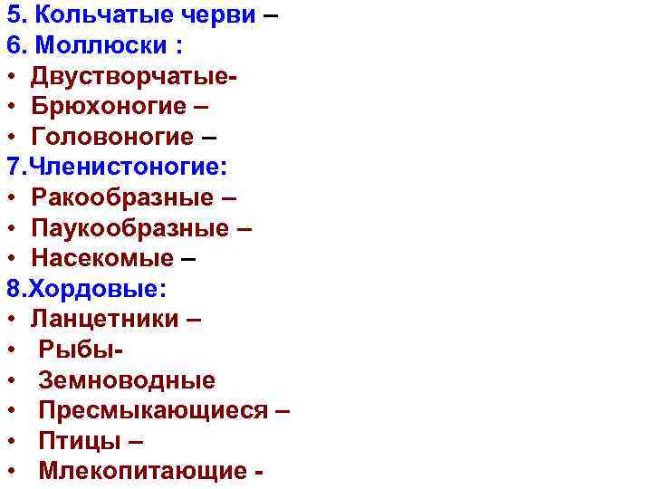 5. Кольчатые черви – 6. Моллюски : • Двустворчатые • Брюхоногие – • Головоногие