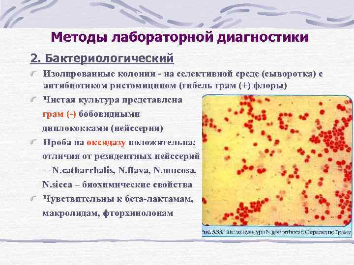 Методы лабораторной диагностики 2. Бактериологический Изолированные колонии - на селективной среде (сыворотка) с антибиотиком