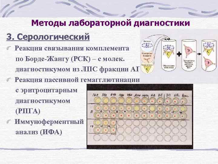 Методы лабораторной диагностики 3. Серологический Реакция связывания комплемента по Борде-Жангу (РСК) – с молек.