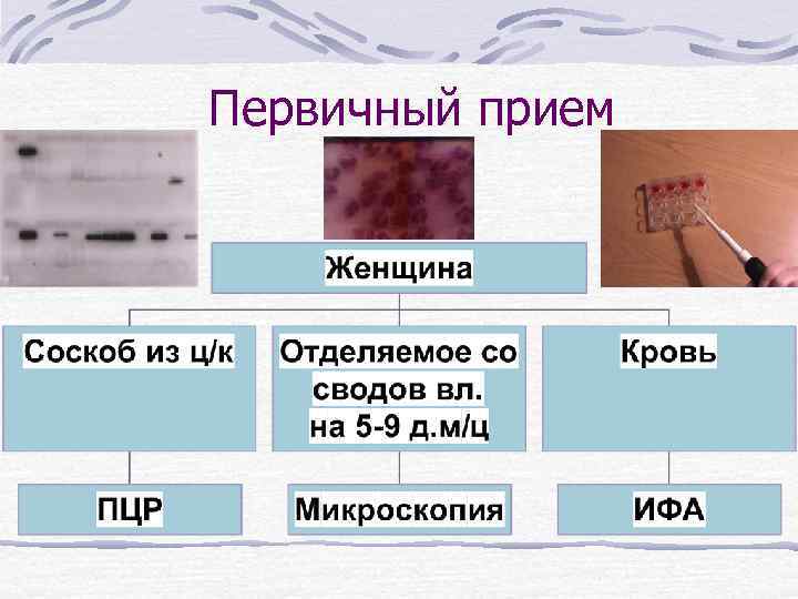 Первичный прием 