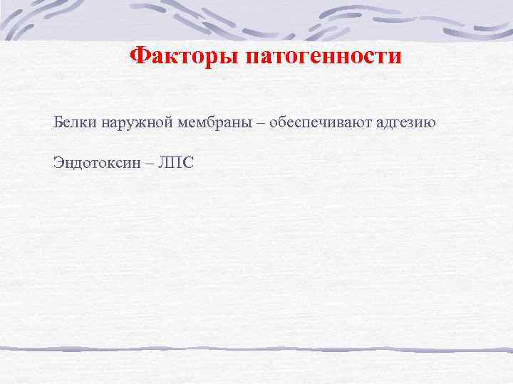 Факторы патогенности Белки наружной мембраны – обеспечивают адгезию Эндотоксин – ЛПС 