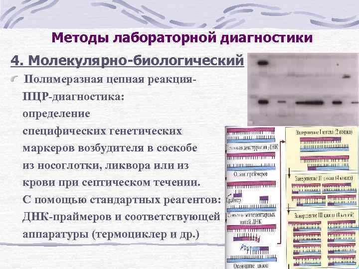 Методы лабораторной диагностики 4. Молекулярно-биологический Полимеразная цепная реакция. ПЦР-диагностика: определение специфических генетических маркеров возбудителя