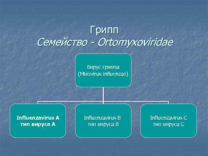 Грипп Cемейство - Ortomyxoviridae Вирус гриппа (Mixovirus influenzae) Influenzavirus A тип вируса А Influenzavirus