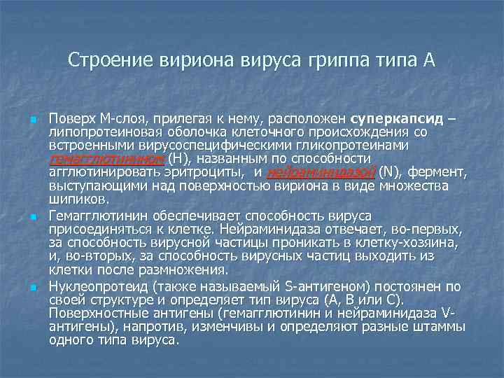 Строение вириона вируса гриппа типа А n n n Поверх М-слоя, прилегая к нему,