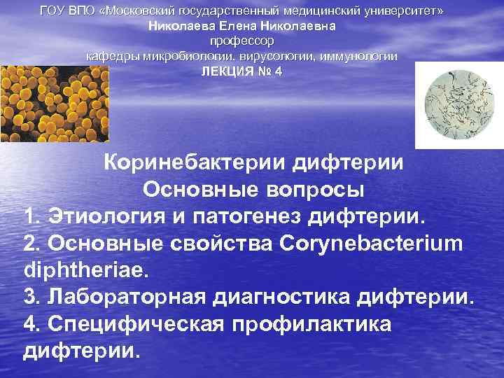 ГОУ ВПО «Московский государственный медицинский университет» Николаева Елена Николаевна профессор кафедры микробиологии, вирусологии, иммунологии