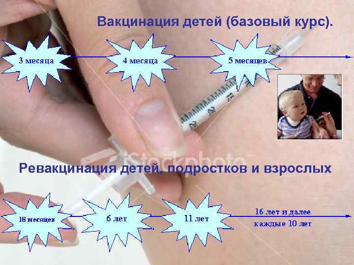 Вакцинация детей (базовый курс). Ревакцинация детей, подростков и взрослых 