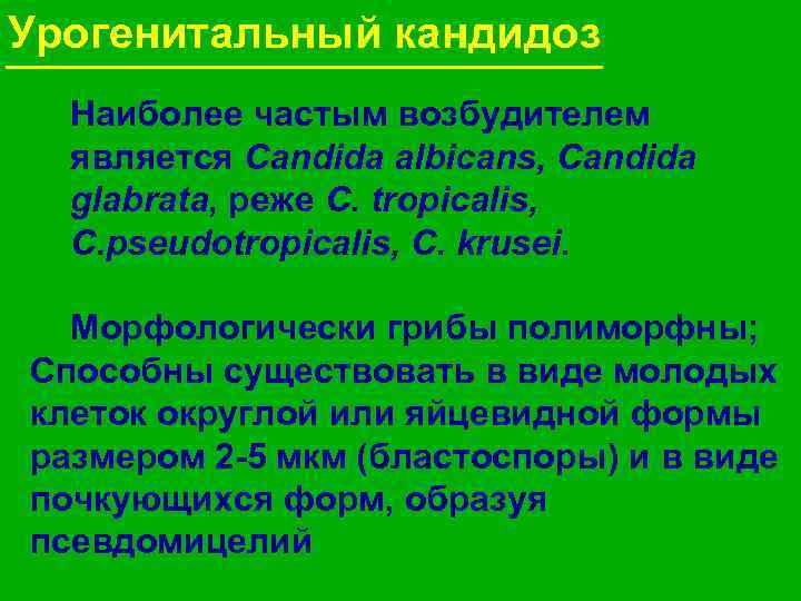Урогенитальный кандидоз Наиболее частым возбудителем является Candida albicans, Candida glabrata, реже С. tropicalis, C.