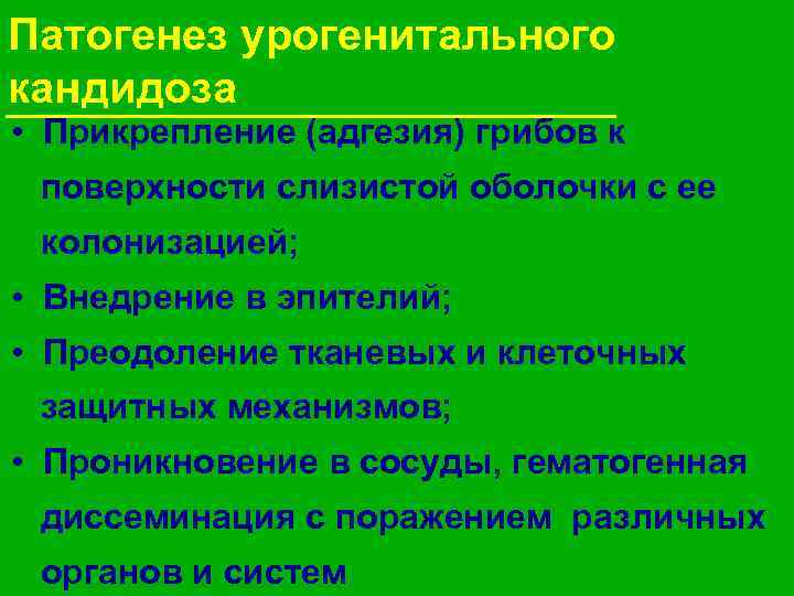 Патогенез урогенитального кандидоза • Прикрепление (адгезия) грибов к поверхности слизистой оболочки с ее колонизацией;