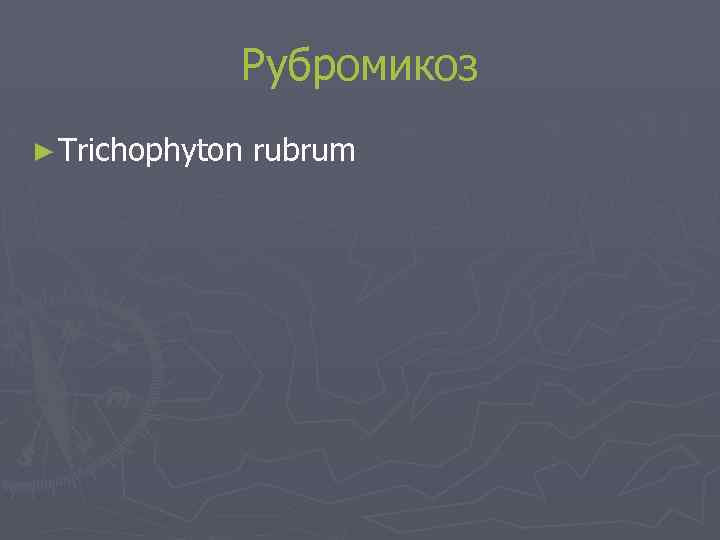Рубромикоз ► Trichophyton rubrum 