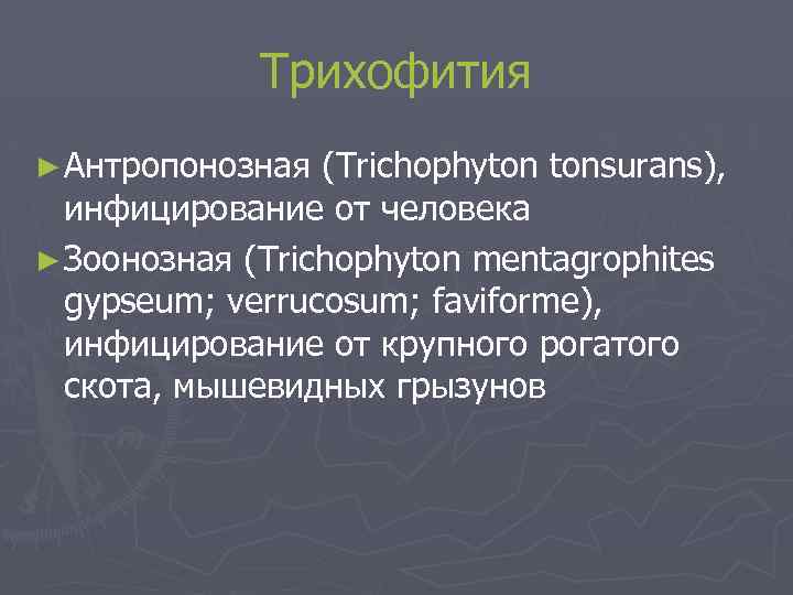 Трихофития ► Антропонозная (Trichophyton tonsurans), инфицирование от человека ► Зоонозная (Trichophyton mentagrophites gypseum; verrucosum;