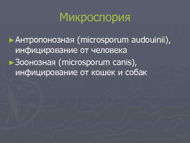 Микроспория ► Антропонозная (microsporum audouinii), инфицирование от человека ► Зоонозная (microsporum canis), инфицирование от