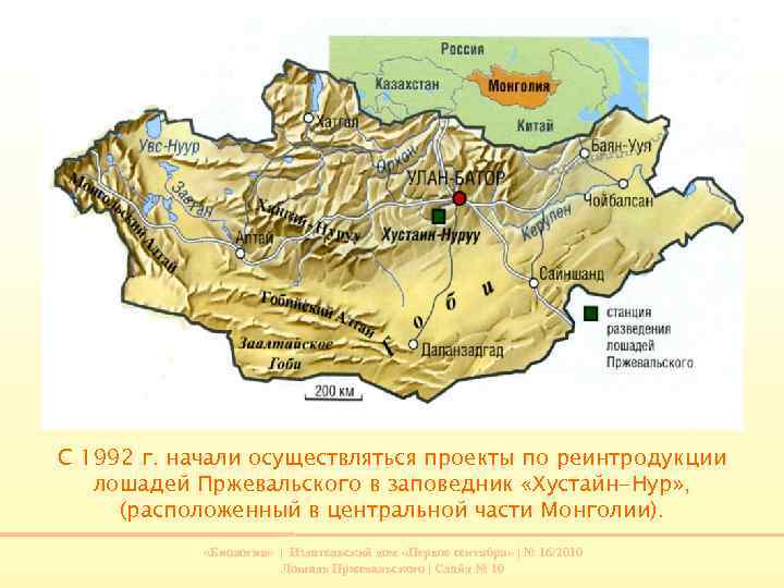 С 1992 г. начали осуществляться проекты по реинтродукции лошадей Пржевальского в заповедник «Хустайн-Нур» ,