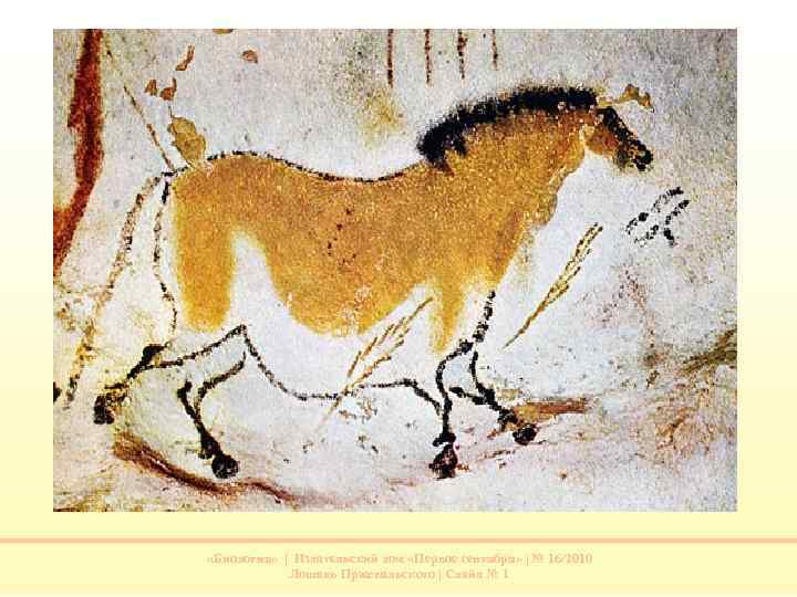  «Биология» | Издательский дом «Первое сентября» | № 16/2010 Лошадь Пржевальского | Слайд
