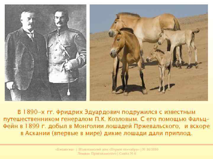 В 1890 -х гг. Фридрих Эдуардович подружился с известным путешественником генералом П. К. Козловым.