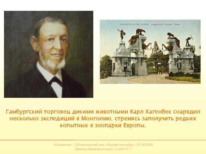 Гамбургский торговец дикими животными Карл Хагенбек снарядил несколько экспедиций в Монголию, стремясь заполучить редких