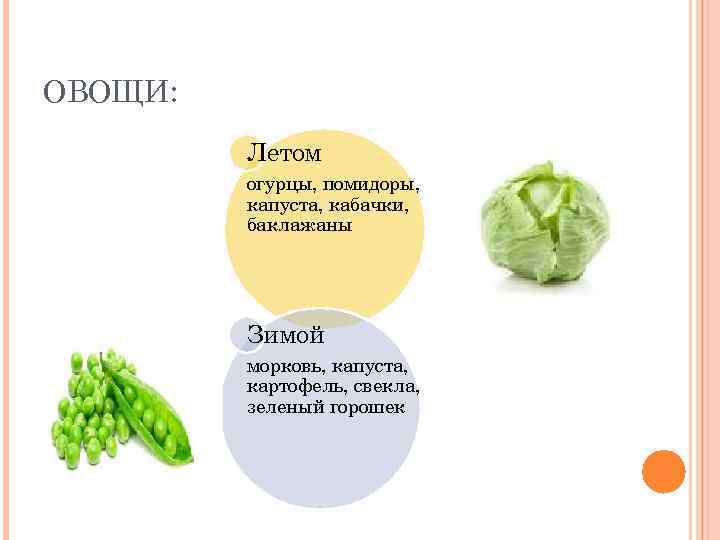 ОВОЩИ: Летом огурцы, помидоры, капуста, кабачки, баклажаны Зимой морковь, капуста, картофель, свекла, зеленый горошек