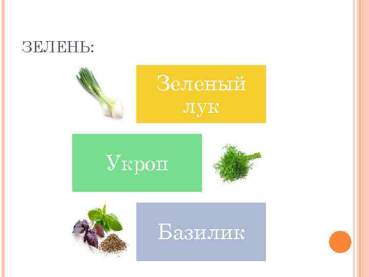 ЗЕЛЕНЬ: Зеленый лук Укроп Базилик 