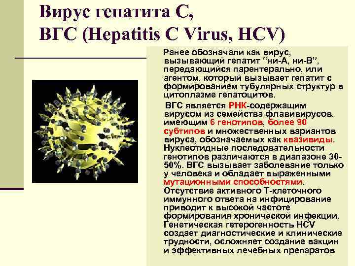 Вирус гепатита С, ВГС (Hepatitis С Virus, HCV) Ранее обозначали как вирус, вызывающий гепатит