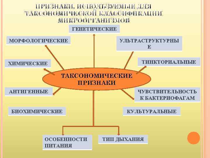 ПРИЗНАКИ, ИСПОЛЬЗУЕМЫЕ ДЛЯ ТАКСОНОМИЧЕСКОЙ КЛАССИФИКАЦИИ МИКРООРГАНИЗМОВ ГЕНЕТИЧЕСКИЕ МОРФОЛОГИЧЕСКИЕ УЛЬТРАСТРУКТУРНЫ Е ТИНКТОРИАЛЬНЫЕ ХИМИЧЕСКИЕ ТАКСОНОМИЧЕСКИЕ ПРИЗНАКИ