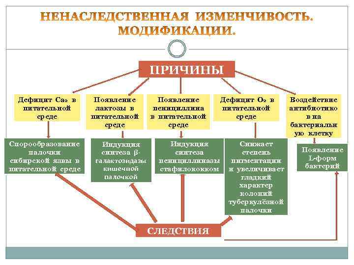 ПРИЧИНЫ Дефицит Са 2 в питательной среде Спорообразование палочки сибирской язвы в питательной среде