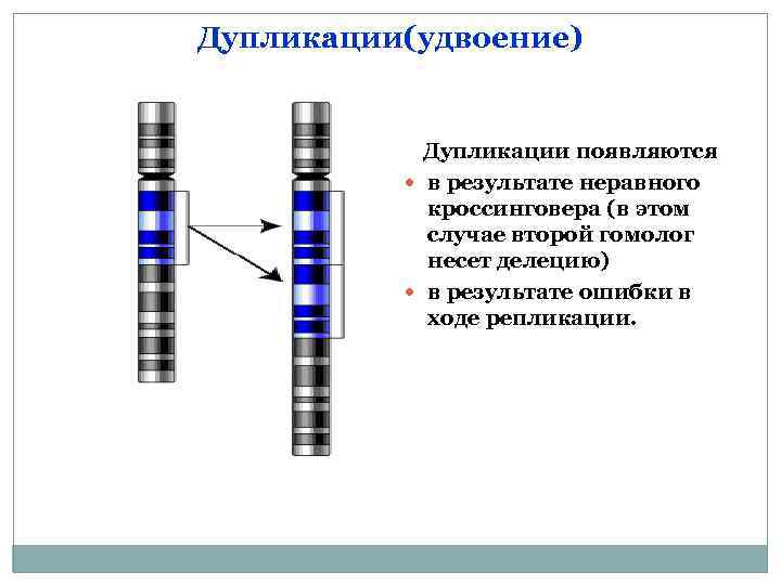 Делеция это