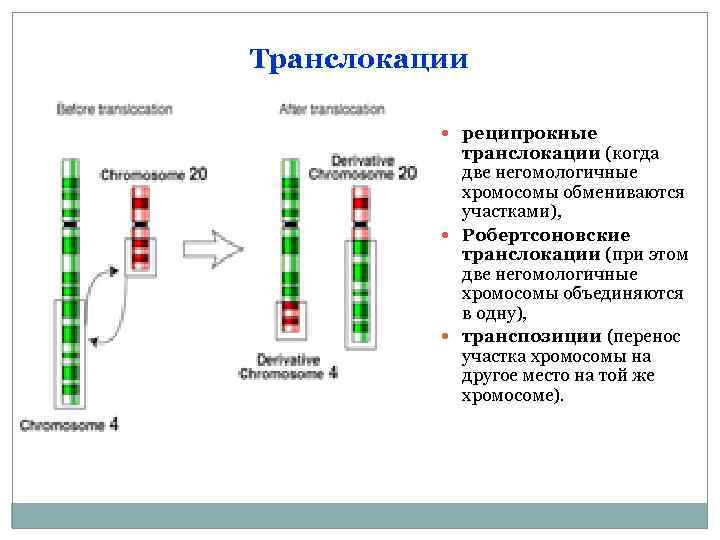 Хромосомная транслокация реципрокная. Реципрокная транслокация хромосом. Реципрокная транслокация это в генетике. Транслокация хромосомная мутация реципрокные.