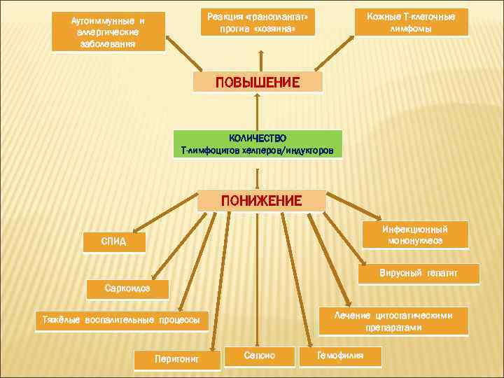 Реакция «трансплантат» против «хозяина» Аутоиммунные и аллергические заболевания Кожные Т-клеточные лимфомы ПОВЫШЕНИЕ КОЛИЧЕСТВО Т-лимфоцитов