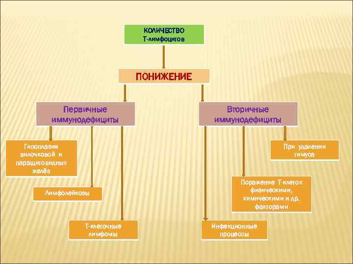 КОЛИЧЕСТВО Т-лимфоцитов ПОНИЖЕНИЕ Первичные иммунодефициты Вторичные иммунодефициты Гипоплазия вилочковой и паращитовидных желёз При удалении