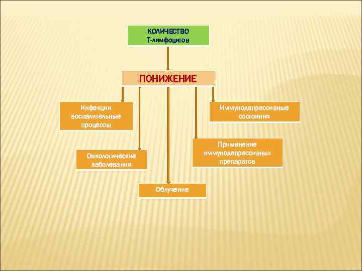 КОЛИЧЕСТВО Т-лимфоцитов ПОНИЖЕНИЕ Инфекции воспалительные процессы Иммунодепрессивные состояния Применение иммунодепрессивных препаратов Онкологические заболевания Облучение