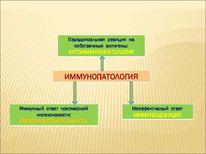 Парадоксальная реакция на собственные антигены: АУТОИММУНОПАТОЛОГИЯ Иммунный ответ чрезмерной интенсивности: ГИПЕРЧУВСТВИТЕЛЬНОСТЬ Неэффективный ответ ИММУНОДЕФИЦИТ