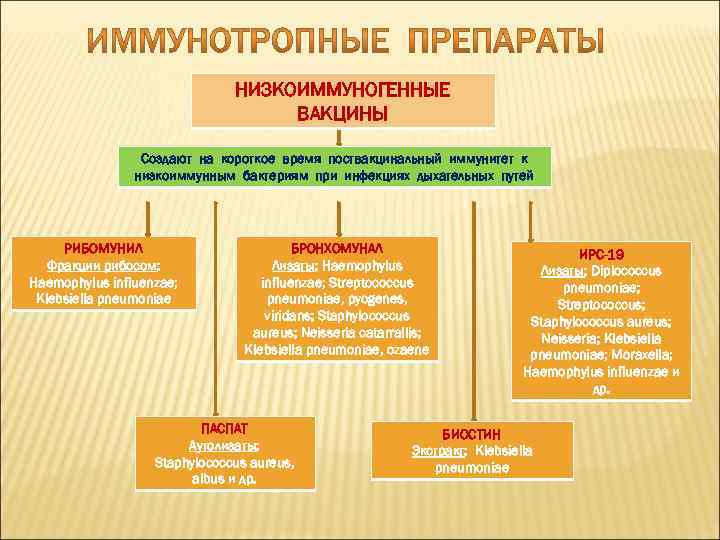 НИЗКОИММУНОГЕННЫЕ ВАКЦИНЫ Создают на короткое время поствакцинальный иммунитет к низкоиммунным бактериям при инфекциях дыхательных