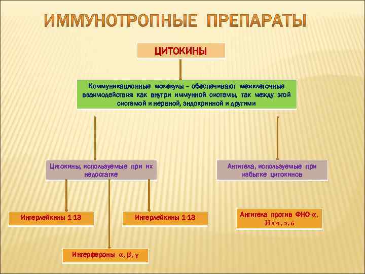 ЦИТОКИНЫ Коммуникационные молекулы – обеспечивают межклеточные взаимодействия как внутри иммунной системы, так между этой
